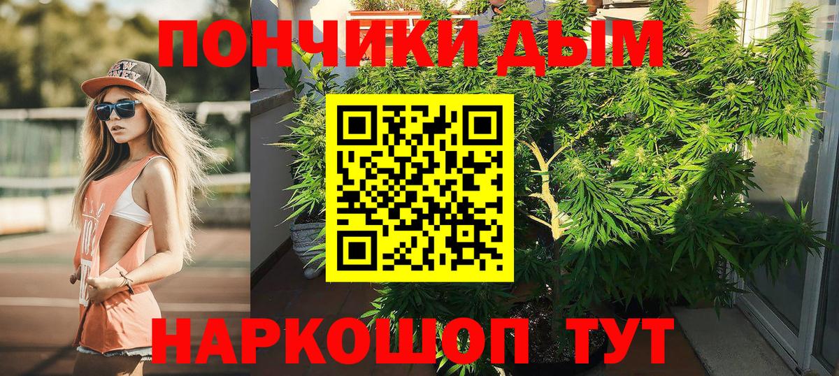 Каннабис OG Kush Алапаевск